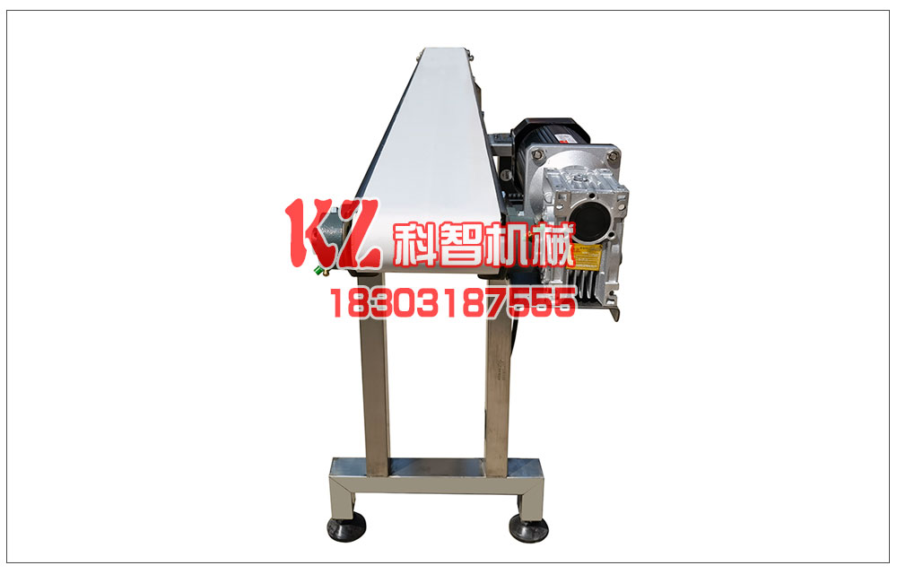 大棗分選輸送線皮帶輸送機